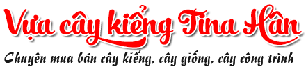 Logo Vua Kiểng Bến Tre