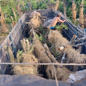 Vựa Kiểng TiNa Hân – Niềm Vui Đầu Tuần